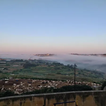 Nebula * Rabat